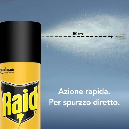 Raid Insecticide Spray for Wasps and Hornets, 400 ml