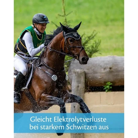 Equality Equistro Energy Booster Paste - Energiesupplement voor paarden en pony's, 20 g