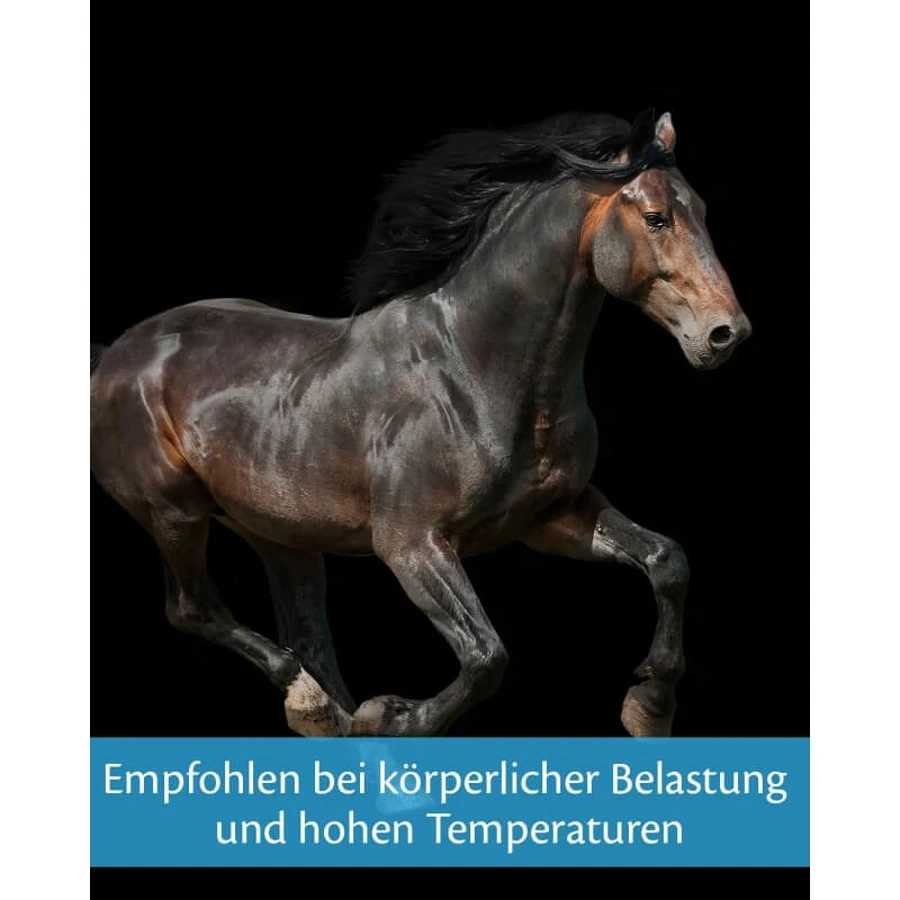 Equality Equistro Energy Booster Paste - Energiesupplement voor paarden en pony's, 20 g