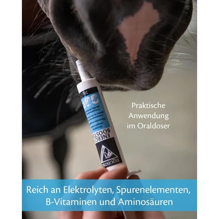 Equality Equistro Energy Booster Paste - Energiesupplement voor paarden en pony's, 20 g