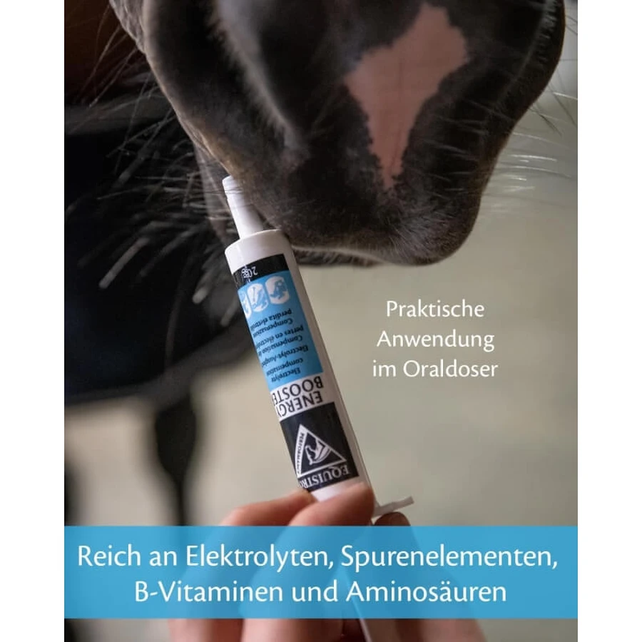 Equality Equistro Energy Booster Paste - Energiesupplement voor paarden en pony's, 20 g