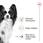 Royal Canin X-Small Ageing 12+ – hrană completă pentru câini adulți de talie mini, 1,5 kg