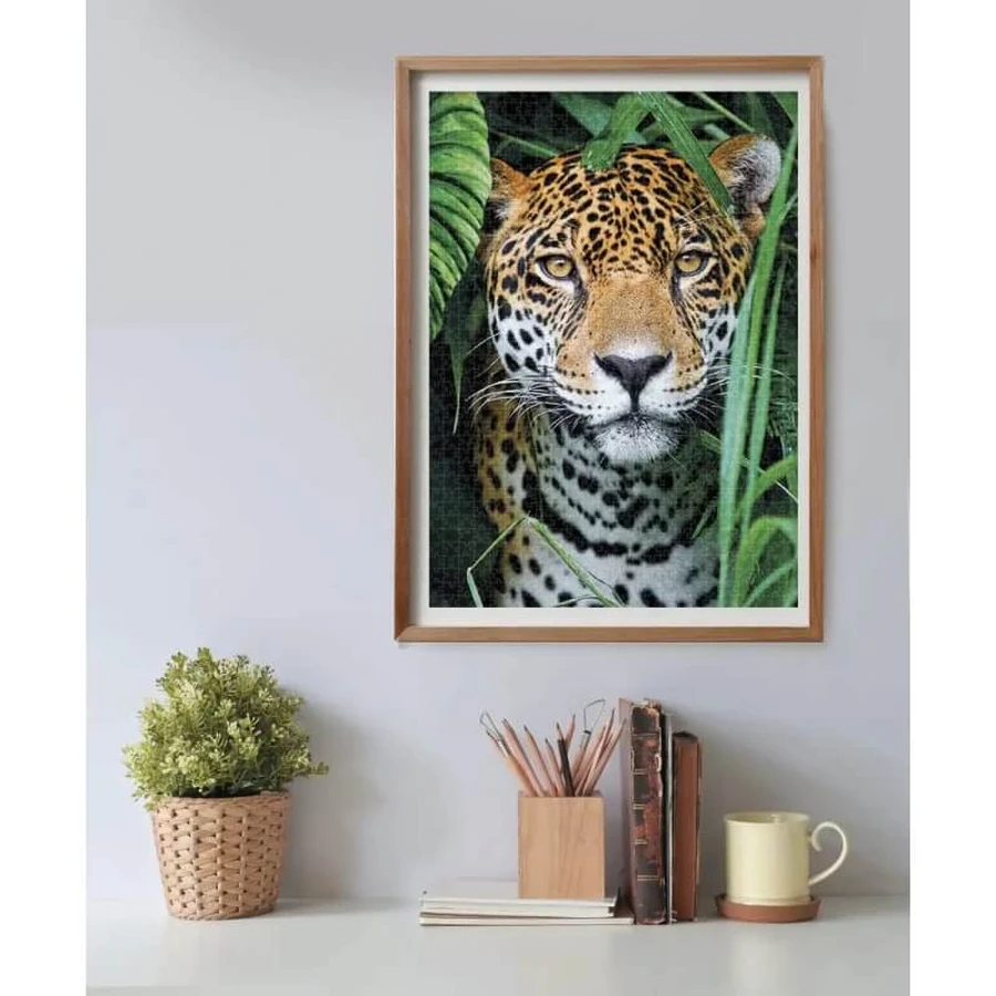 Clementoni Hqc Jaguar în junglă – puzzle de 500 de piese