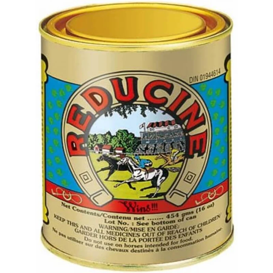 Chifa Reducine Absorbent - Absorberende formule voor paarden bij oedeem en ontstekingen, 454 g