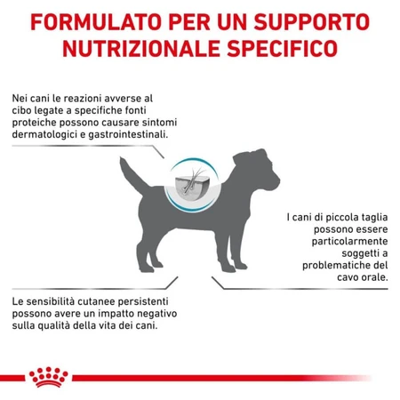Royal Canin Anallergenic Small Dog – Alleinfuttermittel für kleine Hunde mit Nahrungsmittelunverträglichkeiten, 3 kg