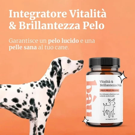 Bau Cosmetics – Vitalitate și strălucire pentru blana câinelui, 90 de comprimate – hrană complementară pentru blana câinelui