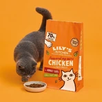 Lily's Kitchen Chicken & Vegetables - Complete Dry Food for Adult Cats, 2 kg