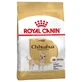 Royal Canin Chihuahua Adult - Pienso para perros adultos, 1,5 kg