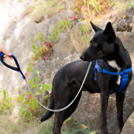Ferplast Daytona gm 25-100 - Laisse pour chien en nylon résistante avec une chaîne chromée noire