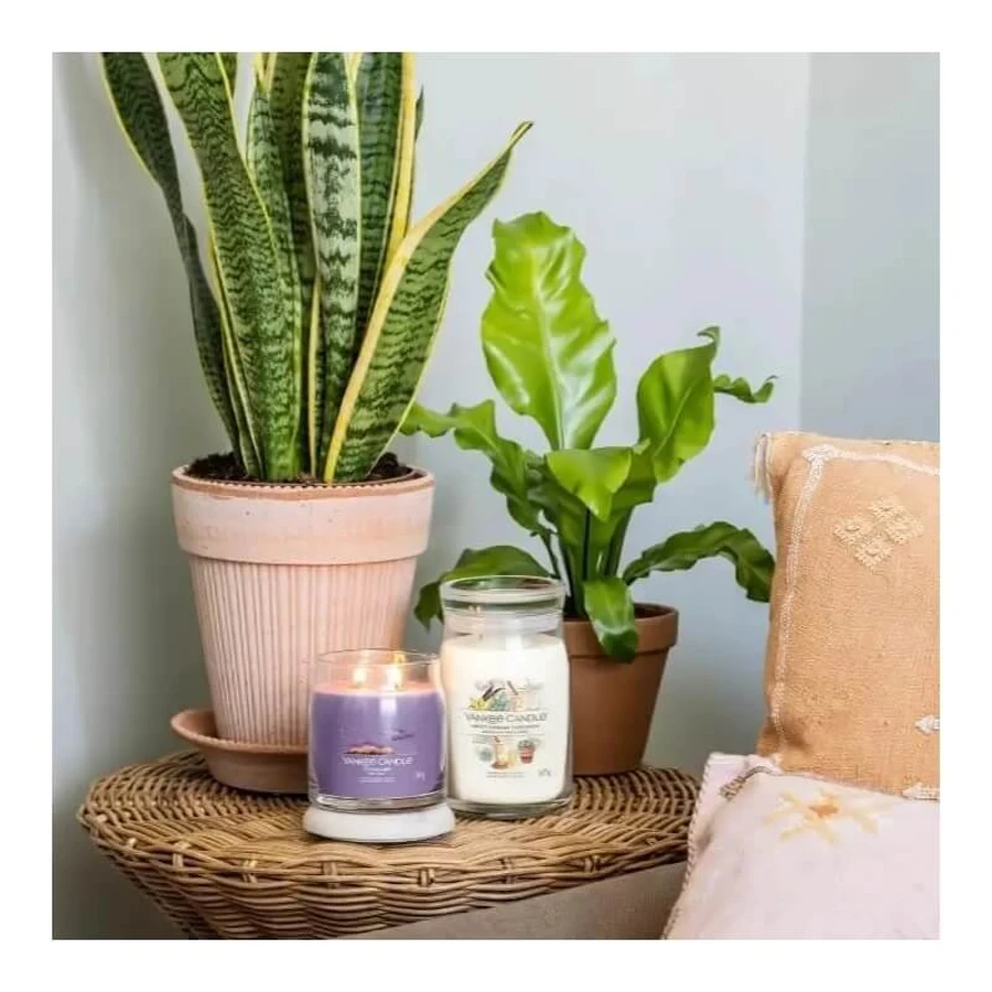 Yankee candle Stargazing - candela profumata media signature 368 g