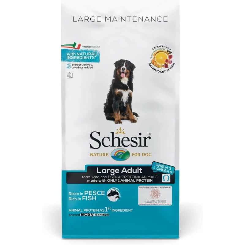 Schesir Large Maintenance Large Adult mit Fischgeschmack – Alleinfuttermittel für große ausgewachsene Hunde, 12 kg