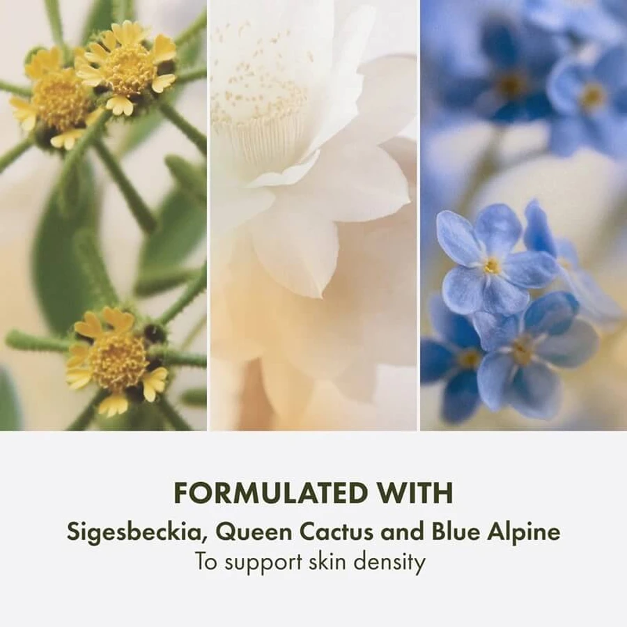 Origins Plantscription Triple Action Youth Cream – straffende Anti-Aging-Gesichtscreme, 50 ml