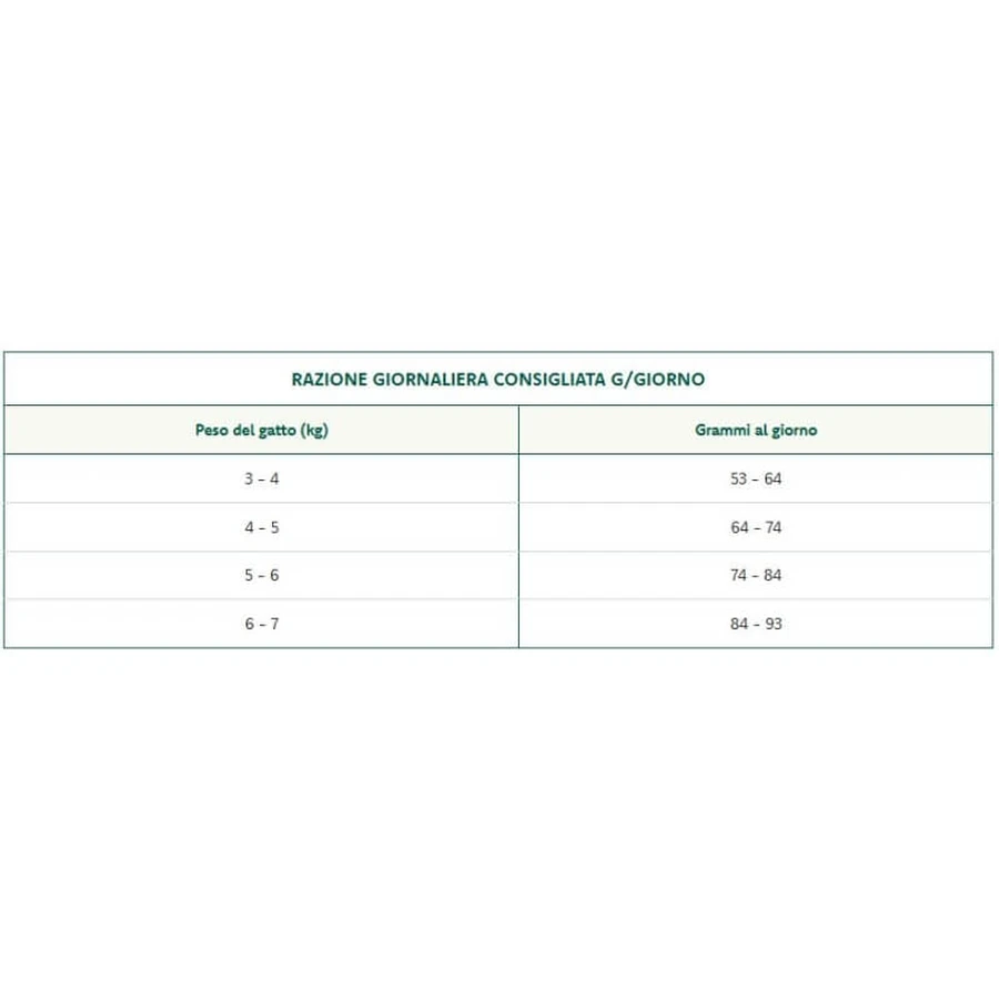 Oasy Superior cu somon – hrană completă pentru pisici adulte, 6 kg