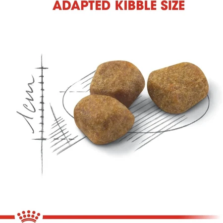 Royal Canin Indoor 7+ – hrană completă pentru pisici în vârstă, 1,5 kg