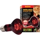 Exo Terra Pt2141 R20-50W – 24-Stunden-Infrarot-Strahlungsheizlampe für die Nacht