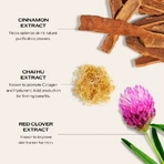 Serum Shiseido Bio-Performance Skin Filler – dwuetapowe serum przeciwstarzeniowe, 30 ml + wkład 30 ml: ceny i cechy