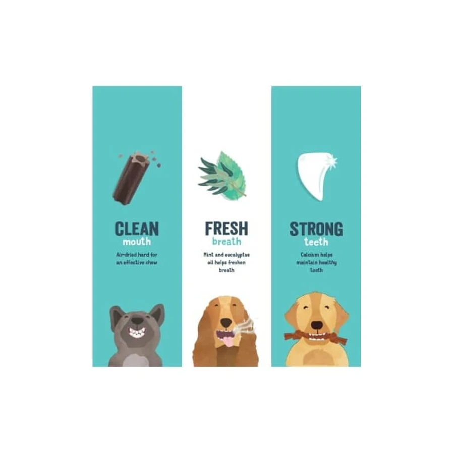 Edgard &amp; Cooper Doggy Dental – baston dentar vegetal pentru câini de talie mare, cu aromă de căpșuni și mentă, 255 g