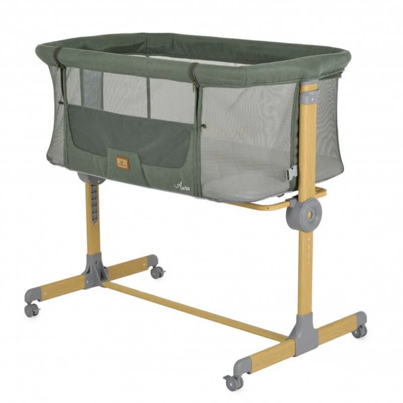 Cangaroo Aura Next2Me verstellbares Anti-Reflux-Babybett, 0–9 kg, grün