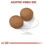 Royal Canin Maxi Adult – hrană completă pentru câini adulți de talie mare, 12 kg