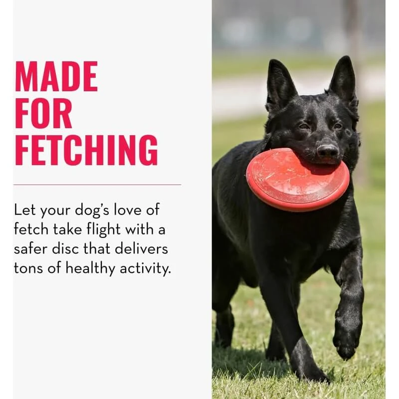 Kong Classic Flyer Small – Frisbee für Hunde
