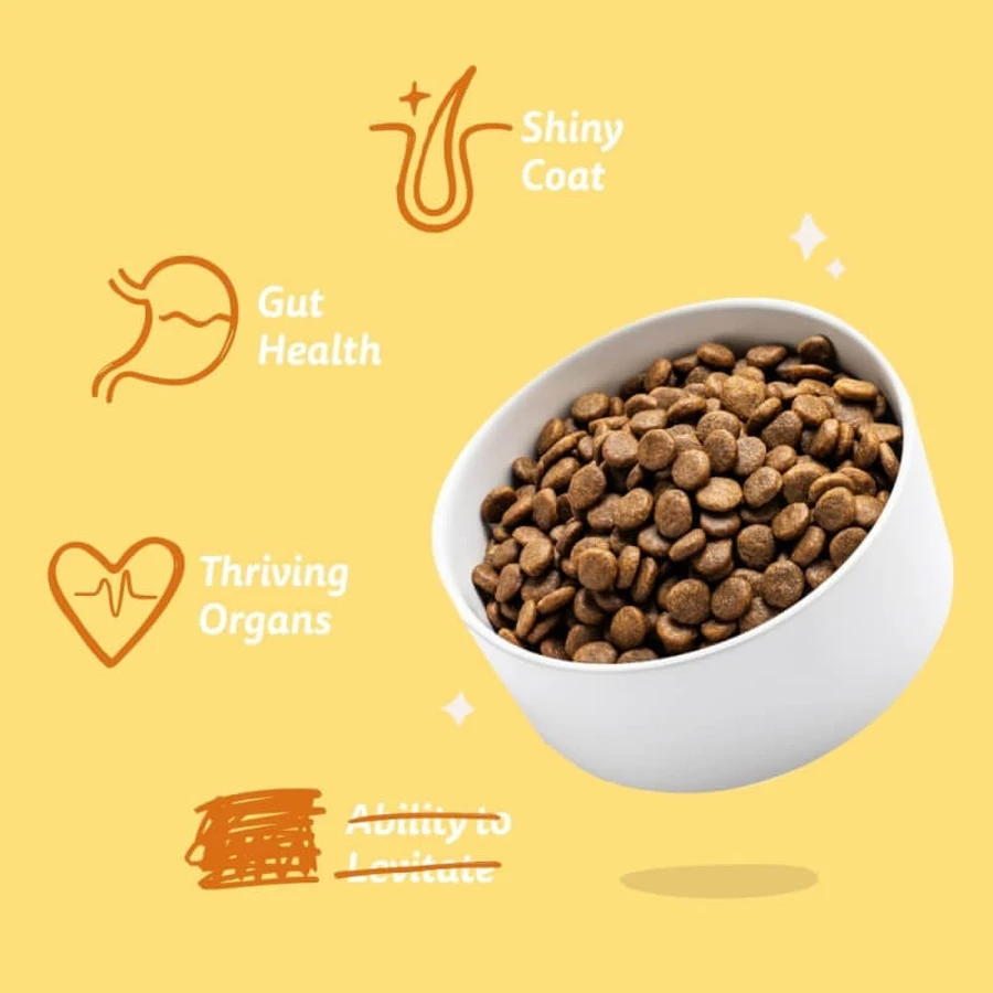 Edgard &amp; Cooper Medium pentru câini adulți – carne proaspătă de curcan și pui ecologică, fără gluten, pentru câini, 7 kg