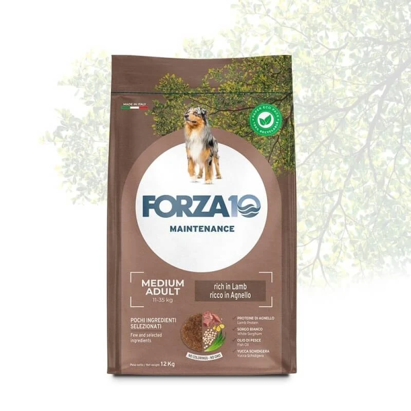 Forza10 Medium-Adult Maintenance Lamm-Hundefutter – Alleinfuttermittel für erwachsene Hunde, 12 kg