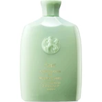 Oribe Cremă de curățare pentru hidratare și control – șampon pentru păr creț 250 ml