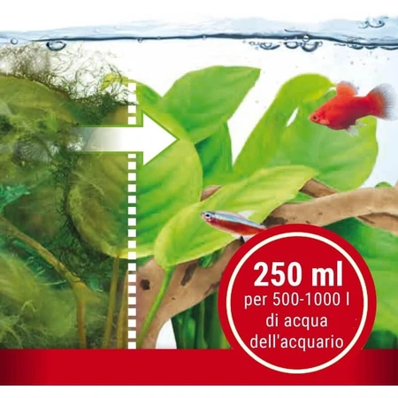Tetra Algumin - tratament complet împotriva algelor în acvariile cu apă dulce, 250 ml