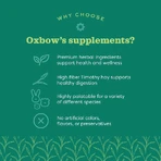 Oxbow Natural Science Skin &amp; Coat – Ergänzungsfuttermittel für kleine Pflanzenfresser zur Pflege von Haut und Fell, 120 g