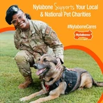 Nylabone Puppy teething keys – chei de ros pentru pui, pentru perioada de dentiție, cu aromă de șuncă, mărime medie