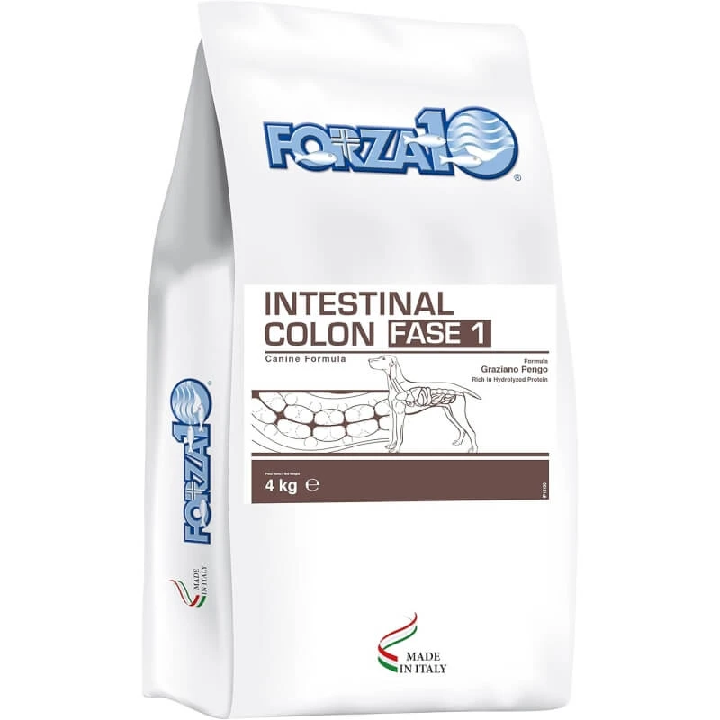 Forza10 Forza 10 Intestinal Colon Phase 1 mit Fisch – Alleinfuttermittel für Hunde mit chronischer Kolitis, 4 kg