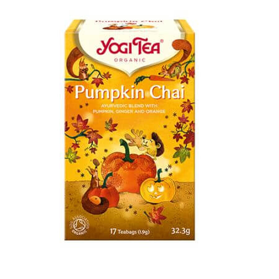 Bio-Tee Herbstgeschmack Kürbis Chai, 17 Beutel/32,3 g, Yogi Tee