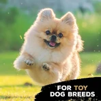 Juguete masticable «Tasty Bone Nylon Trio Bone» - Juguete masticable con sabor a pollo para perros