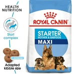 Royal Canin Maxi Starter Mother and Puppy – Alleinfuttermittel für trächtige und säugende Hündinnen sowie Welpen, 15 kg