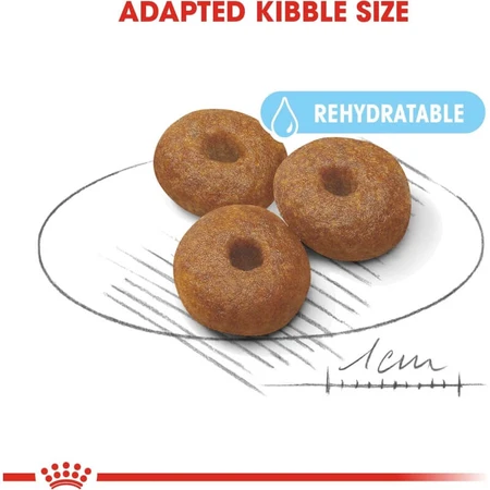 Royal Canin Maxi Starter Mother and Puppy – Alleinfuttermittel für trächtige und säugende Hündinnen sowie Welpen, 15 kg