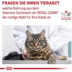 Royal Canin Renal Special – Diätfutter für Katzen mit Nierenerkrankungen, 2 kg