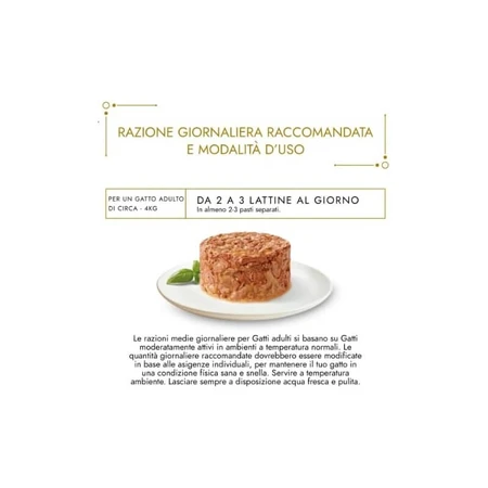 Purina Gourmet Gold Mix Bites - Pienso completo para gatos adultos, 24 x 85 g