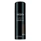 L'Oréal ProfessionnelHair Touch Up L'Oréal Pro Hair Touch Up Châtain
