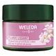 Weleda Fluid netezitor cu trandafir sălbatic și ceai alb 40 ml