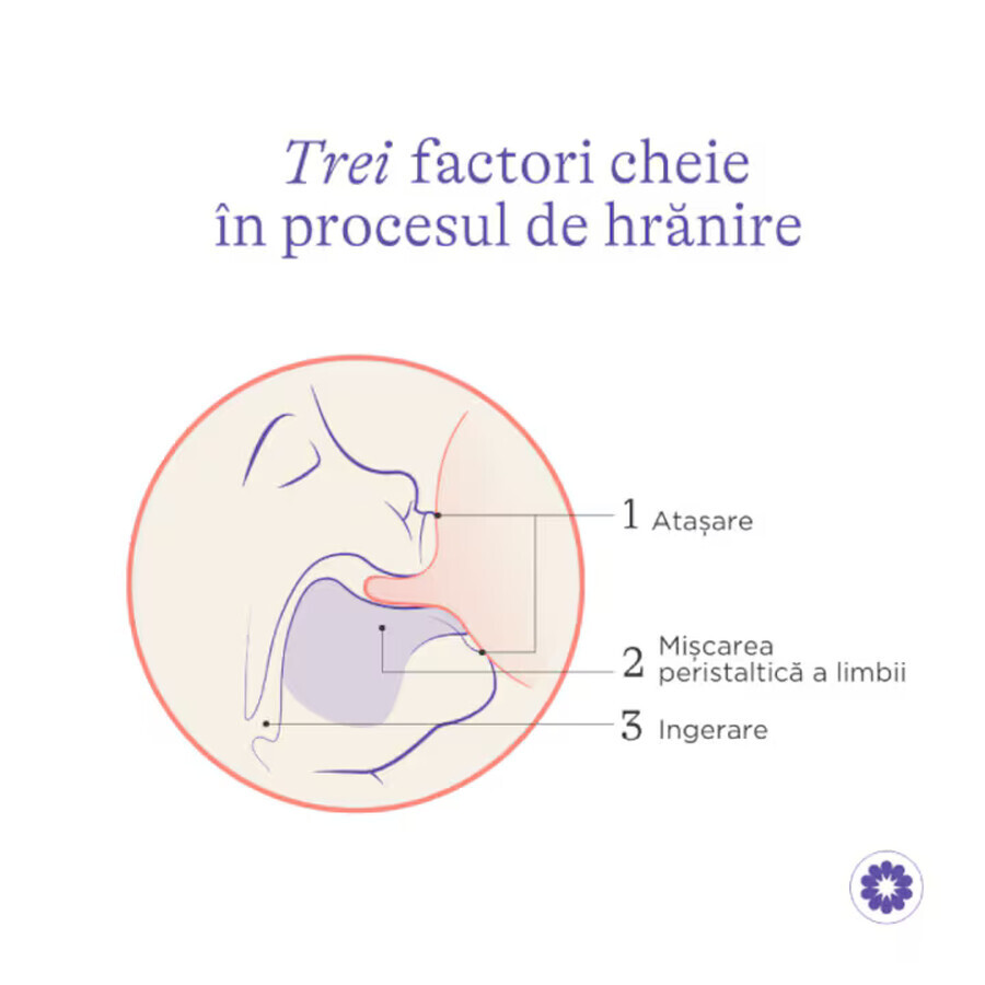 Pachet 3x Biberon Lansinoh - 240 ml.