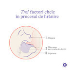 Pachet 3x Biberon Lansinoh - 240 ml.