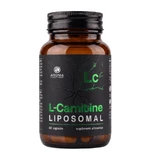 L-Carnitin liposomal – 60 Kapseln mit L-Carnitin-L-Tartrat in liposomaler Form zur Unterstützung der Energieversorgung, des Stoffwechsels und der körperlichen Leistungsfähigkeit