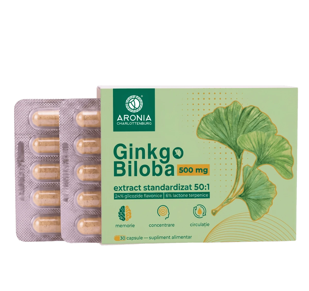 Ginkgo Biloba 500 mg – 30 Kapseln mit konzentriertem Blattextrakt, für Gedächtnis, Konzentration und Durchblutung