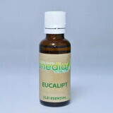 Eukalyptus-Riechöl 10 ml