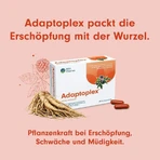 Adaptoplex 120 mg capsule dure, 60 de capsule dure