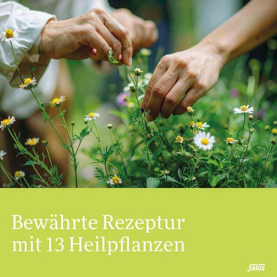Gallexier Elixir amar pe bază de plante Salus, lichid pentru uz oral, 3 x 20 ml