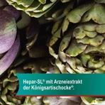 Hepar-SL® 320 mg – kapsułki twarde, 100 kapsułek twardych: ceny i cechy