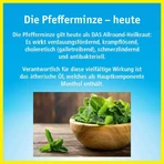 Chinese olie met verstuiver, 25 ml etherische olie