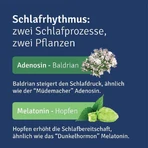 ALLUNA Sleep – tabletki powlekane, 20 tabletek powlekanych: ceny i cechy