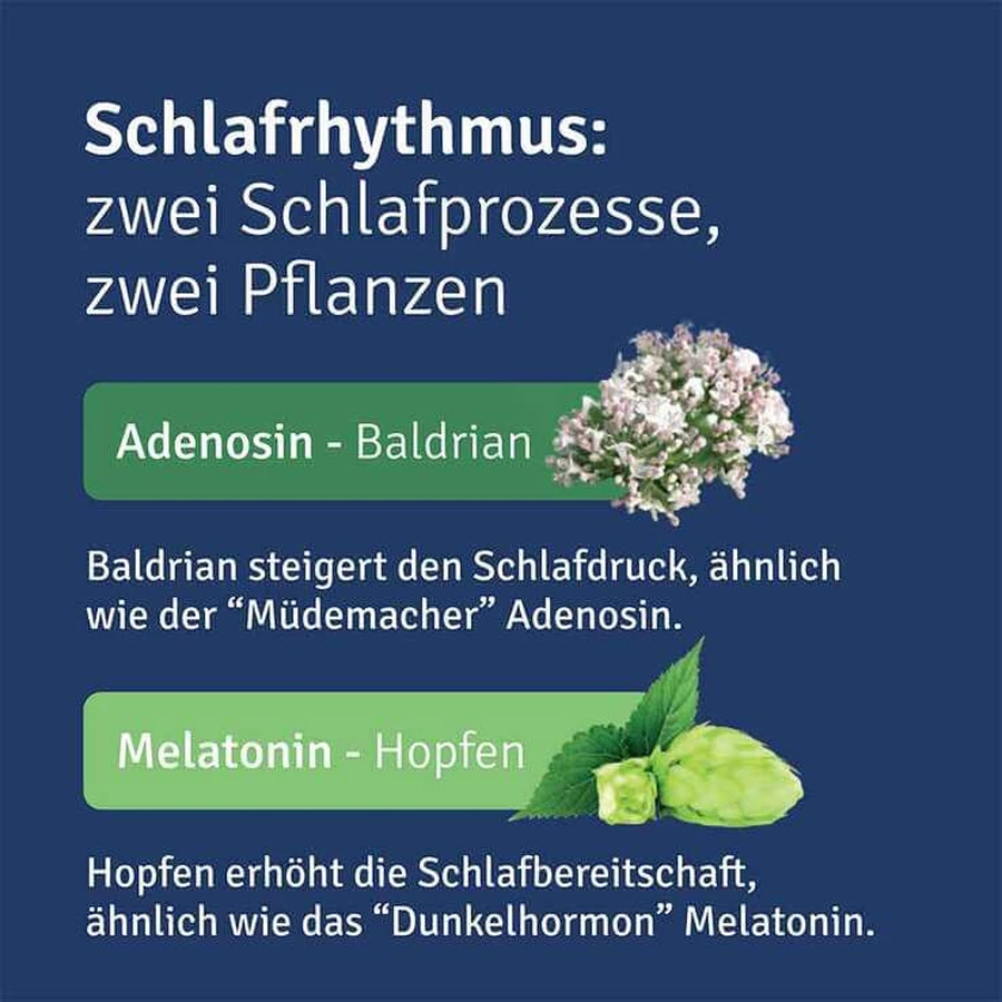 ALLUNA Sleep – tabletki powlekane, 20 tabletek powlekanych: ceny i cechy